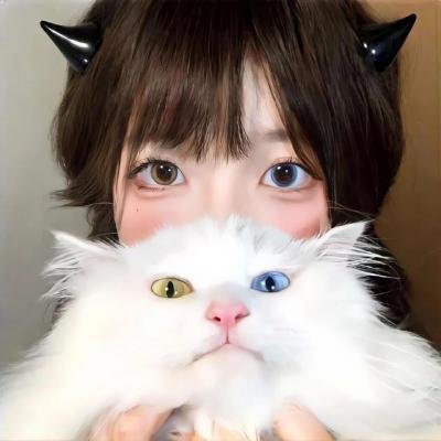 潘及的秘密日记剧场版